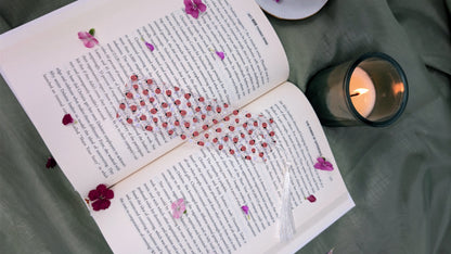 Floral & Ladybug Acrylic Bookmark | Gift for Book Lovers & Nature Fans